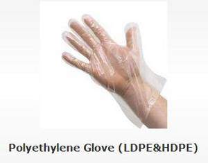 Wholesale pe gloves: PE Gloves