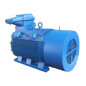 Wholesale electric vibrator: High Efficiency Asynchronous Explosion-Proof Motor