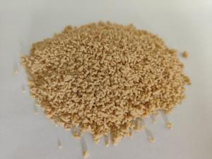 Wholesale wild food: Mushroom Seasoning Powder