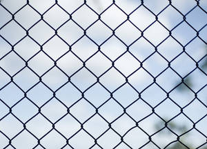 Wholesale chain link fencing: Chain Link Fence