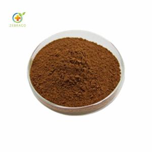 Wholesale relieve burn pain: Echinacea Extract  Factory Supply Bulk Organic Echinacea Purpurea Extract Powder