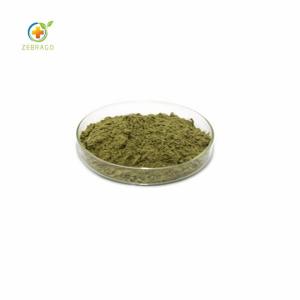Wholesale matcha: Matcha Powder  Organic Culinary Premium Ceremonial Grade Matcha Green Tea Powder