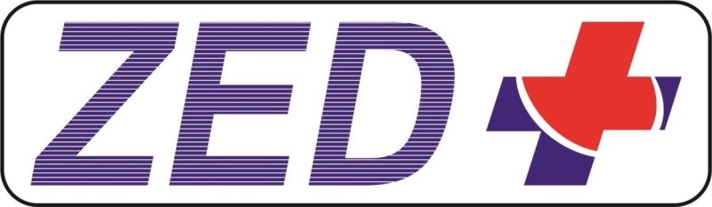 ZedPlus Company Logo