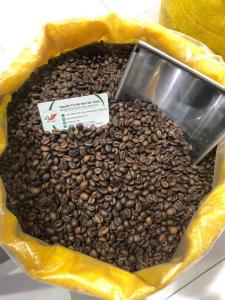 Wholesale bean bag: High Quality Robusta Roasted Coffee Vietnam