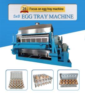 Wholesale pulp tray machine: 5000pcs/H  Fully Automatic Paper Pulp Egg Carton Box Tray Making Machine