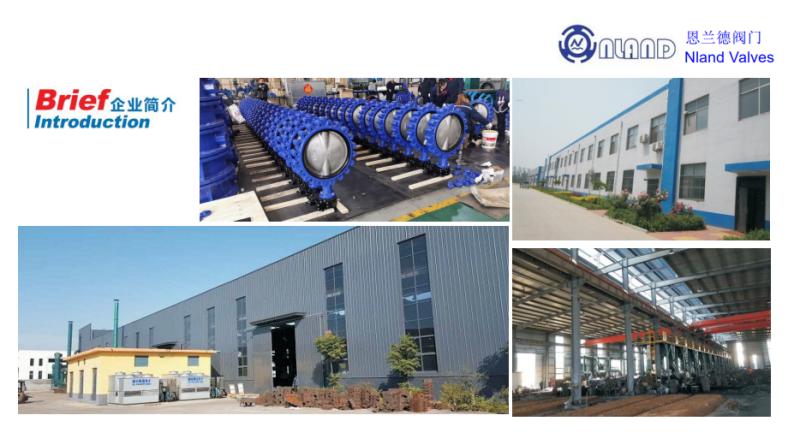Qingdao Nland Industrial Co.,Ltd