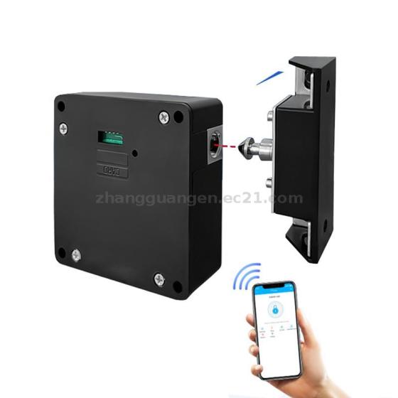 Factory Smart Cellphone App Control Invisible Rfid Card Locker Lock Sauna Lock with TTLock for Drawe