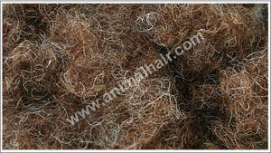 Wholesale horse gram: Curled Horse Hair