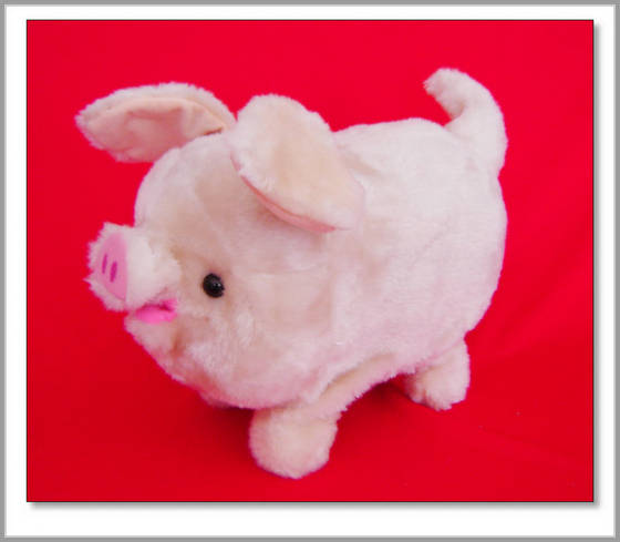 battery operated pig