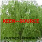 Sell White Willow Bark Extract
