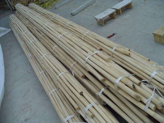 Rattan Cane