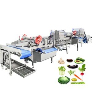 Wholesale vegetable washing machine: Vegetables and Fruits Cleaning Line Vegetable Diced Bubble Washing Machine Dewater Machine