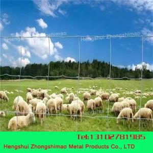 Wholesale wire mesh fencing: Field Fence/Grassland Fence/Wire Mesh Fence/Stock Fencing Wire
