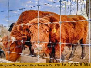 Wholesale cattle fence: Cattle Fence/ Field Fence/Grassland Fence/Hinged Joint Fence/Stock Fencing Wire
