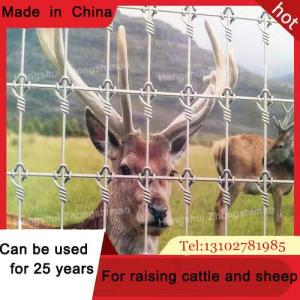 Wholesale wire mesh fencing: Grassland Fence/Galvanized Wire Mesh/