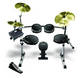Sell Alesis DM10 Pro Kit Professional Electronic Drumset with RealHead