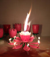 Firework Lotus Birthday Candle 