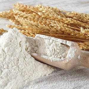 Wholesale wheat flour milling: Flour Wheat