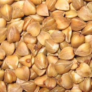 Wholesale roasted buckwheat kernel: Buckwheat