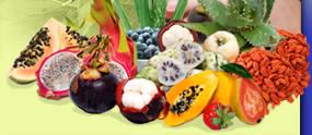 Exotic Fruits- Juices,Concentrates, Extracts, Puree, IQF