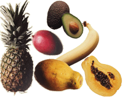 Concentrate Juices Brix