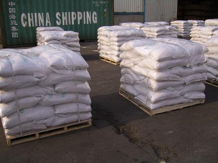 Rice Protein Concentrates