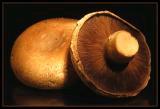 Portabella Fresh Mushrooms