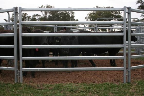 Livestock Fence image