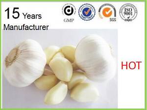 Wholesale garlic cloves: Fresh Garlic From China