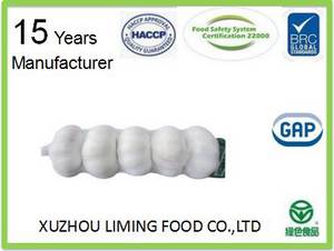 Wholesale Fresh Garlic: Top China Garlic Wholesale Fresh Garlic: Top China Garlic