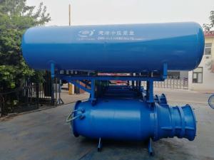 Wholesale dry box cabinet: Buoy Axial-flow Pump