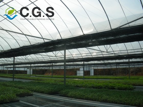 Commercial Agricultural Greenhouses From China