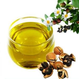 Wholesale oil seeds: Camellia Seed Oil Carrier Oil for Skin Care