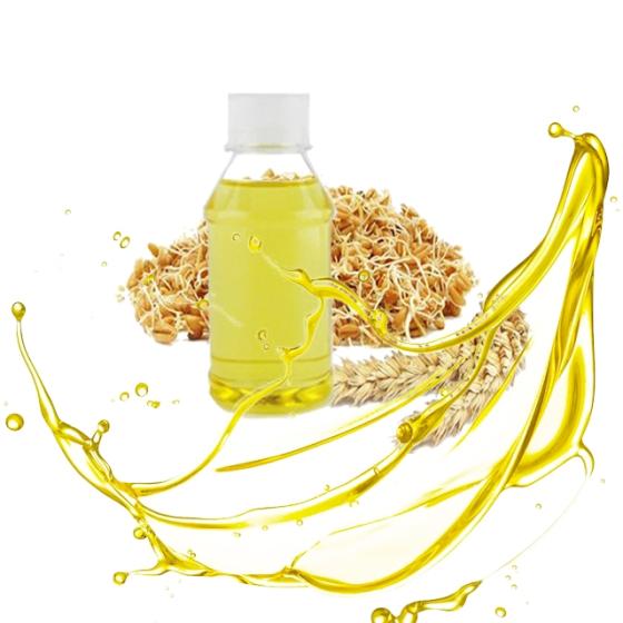 What Is The Meaning Of Wheat Germ Oil In Hindi