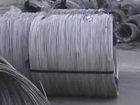 Sell Carbon Steel  Wire Rod