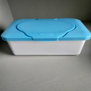 Wholesale packing box: Plastic Box for Wet Wipes Packing Plastic Container