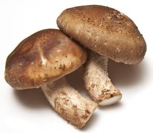 Wholesale caps: IQF Frozen Shiitake Mushrooms