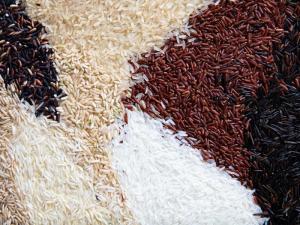 Wholesale easy to dry: Rice Grains
