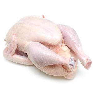 Wholesale fittings: Whole Chicken, Shawarma, Chicken Griller, Broiler,Chicken Wings,Drumstick,Chicken Feet and Paws.