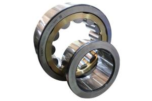 Wholesale security cage: Single Row Cylindrical Roller Bearing