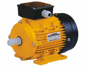 Ms Series Three Phase Electric Motor