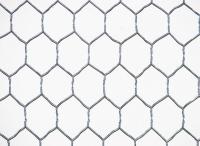 Sell Hexagonal Wire Netting, Hexagonal Wire Mesh, Galvanized...