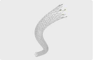 Wholesale zenflex: Peripheral Stent System