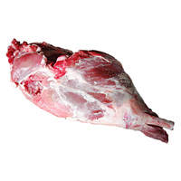 Lamb