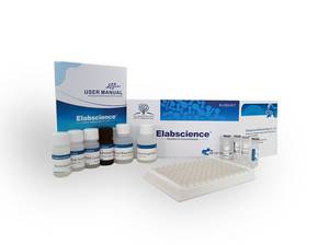ELISA Kit