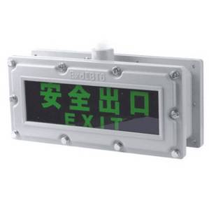 Explosion Proof Light