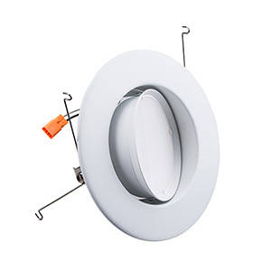 Adjustable LED Downlight