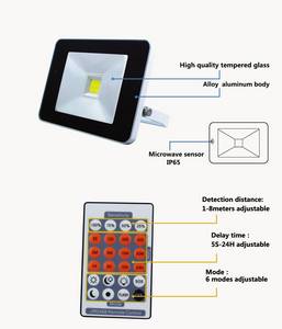 Floodlight Motion Sensor