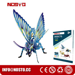 Insect