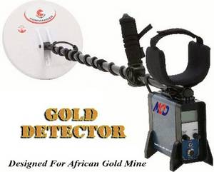 Gold Detector